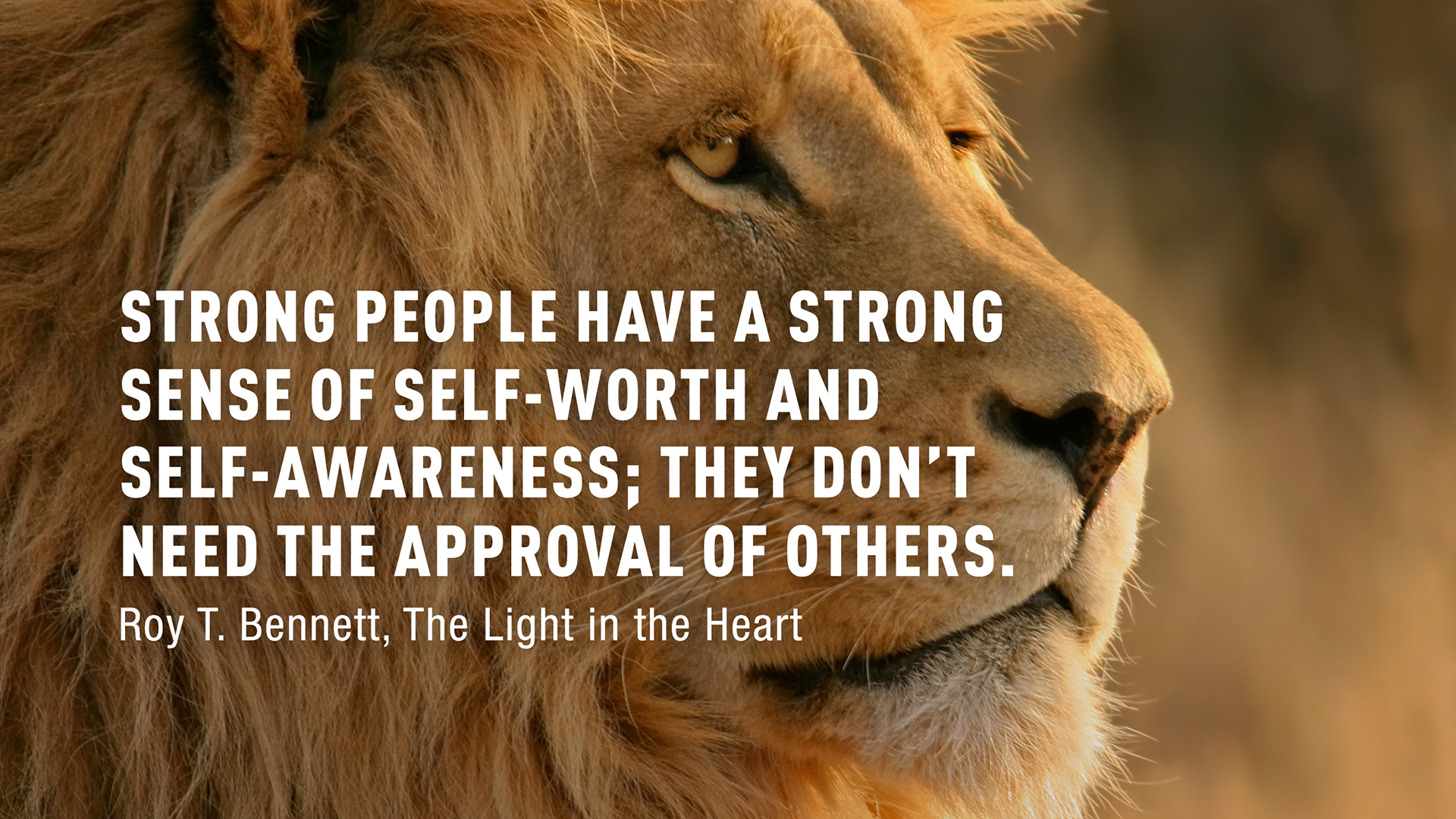 Strong-people-have-a-strong-sense_Roy-T-Benett_THe-Light-in-the-Heart_2560